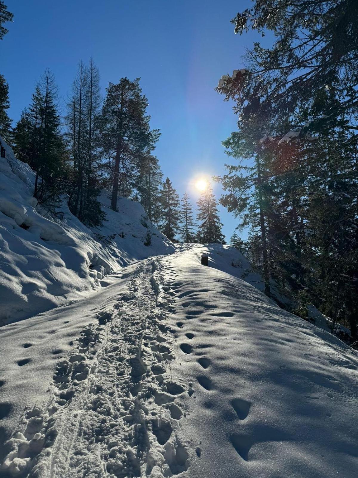 Alpenlandhaus Menardi Seefeld in Tirol Extérieur photo