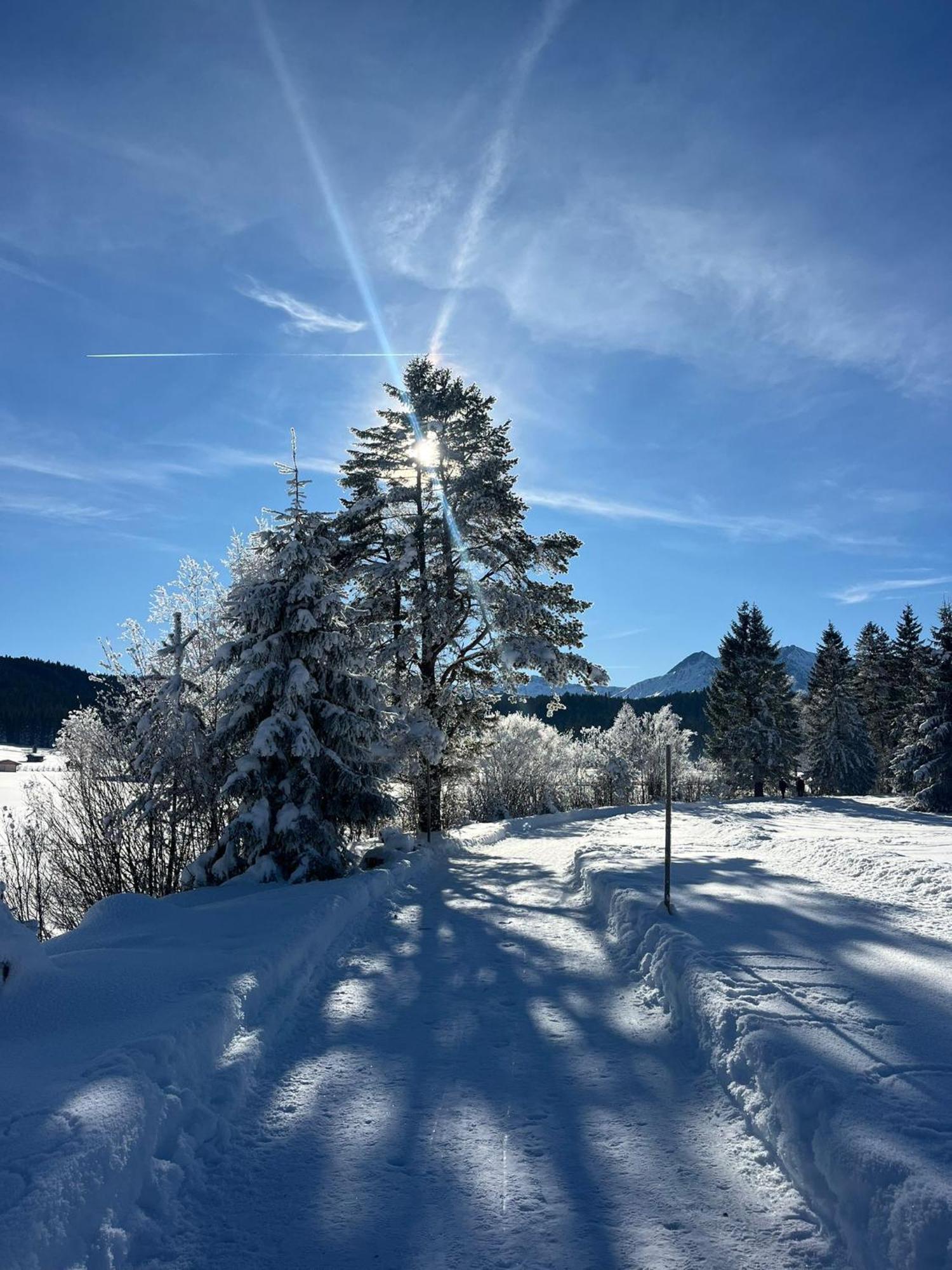 Alpenlandhaus Menardi Seefeld in Tirol Extérieur photo